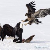 suhil chico soltero en Torrevieja