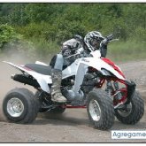 Chatear con raptor de Colonia De Sant Jordi