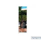 658205157 chica casada en Sevilla