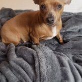 Mario197624 chico soltero en Philadelphia