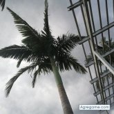 Chatear con Reyrey1 de Medellín