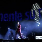 Chatear con taoer de Pedro Luro