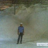 elpapaupa chico divorciado en Sabaneta