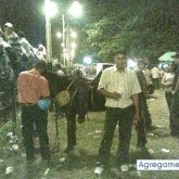 elpapaupa foto #7