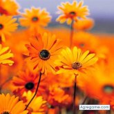 josemanuel19 chico soltero en Guanta