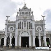 andresmambuca8000 foto #24