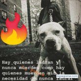 oscarjavier1430 chico soltero en Talca