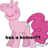 Busco pareja. Guapo. Los gatos.