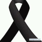 Foto de perfil de davidvite9711