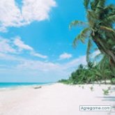 Carlucci chico soltero en Isla Mujeres