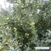 5097608654 chico soltero en Moguer