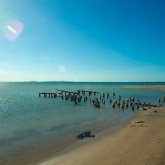 Estudiante Universitario. Busco pareja.
