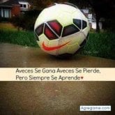 Lucho Alex