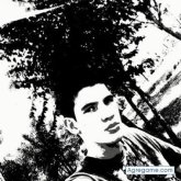 aalex1992