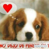 Llosue Guerra Saboya