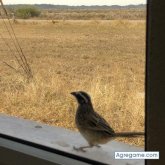 Busco conocer gente. Chica cariñosa y