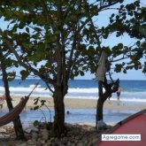 XPXPC foto #7