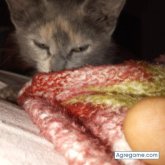 Erikc322 chico soltero en Durán