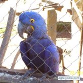 Foto de perfil de misiones