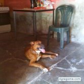 demetekon chico soltero en Coro