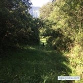 Busco hacer amistades. Amiga. Alegre. La