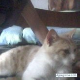 jesii2012 chica soltera en Villa María