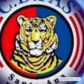 Chatear con tigrillo93 de San Marcos