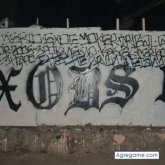 elGALLOxobs foto #8