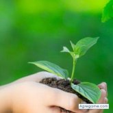 davidsaraya chico soltero en Cusco