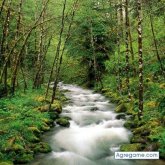 yoori chico soltero en 