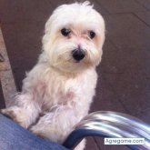 ayalaspace chico soltero en L'Hospitalet de llobregat