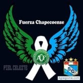 Foto de perfil de joel201723