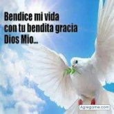 robertogutierres8730