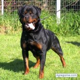 lajefa chica soltera en Punta De Piedras