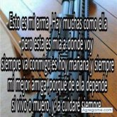 Marcelo G.C