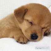 hectormedi87 foto #10