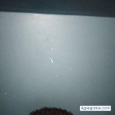 Foto de perfil de Perdido14