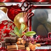 Surena1 chica soltera en San Diego