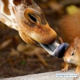 FRESKY chico soltero en Cuautitlán Izcalli