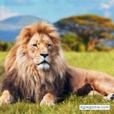 Foto de perfil de Neo2017