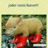 fito
