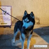 abdellatifben chico soltero en Cartagena