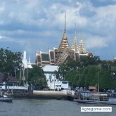 alfonzovii chico soltero en Madrid