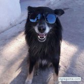 migueljopi chico soltero en Carhué