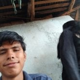 Menuel Placoso