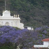 Chatear con elTomas de San Salvador Ciudad