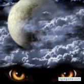 CFDAVID chico soltero en Murcia