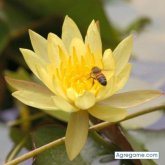 Chatear con LENDAR de Salto