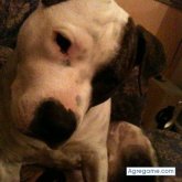 dieguss32 chico soltero en Gijón