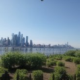 Busco pareja. Chicas.